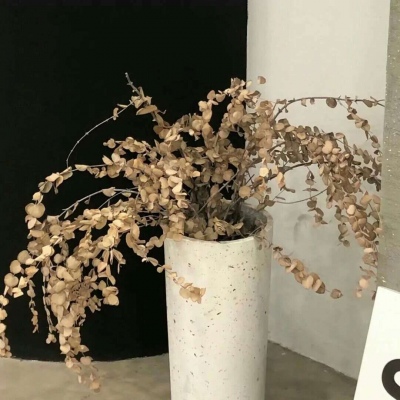 南湖FurryQQ群介绍